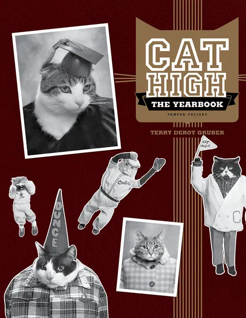Cover of Cat High