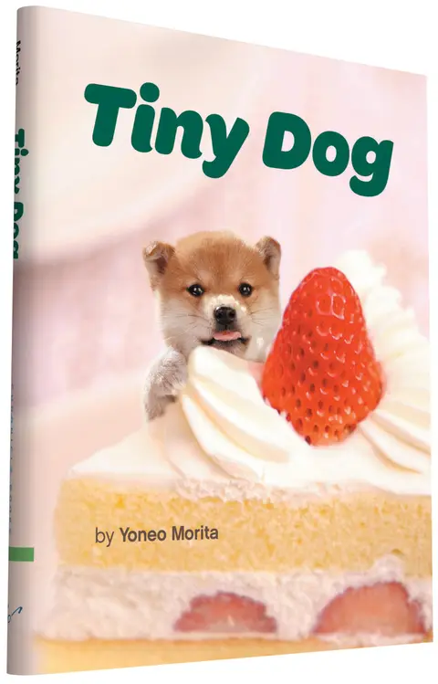 Cover of Tiny Dog