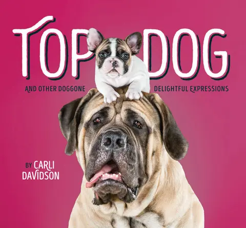 Cover of Top Dog