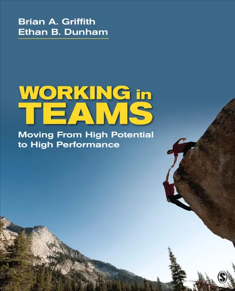 Cover of Working in Teams
