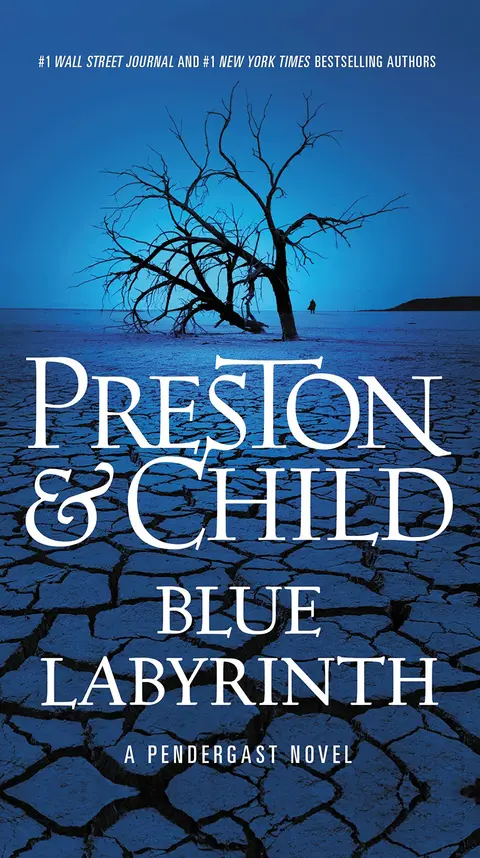 Cover of Blue Labyrinth