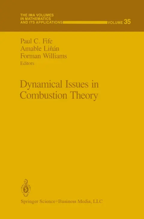 Cover of Dynamical Issues in Combustion Theory