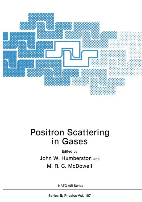 Cover of Positron Scattering in Gases