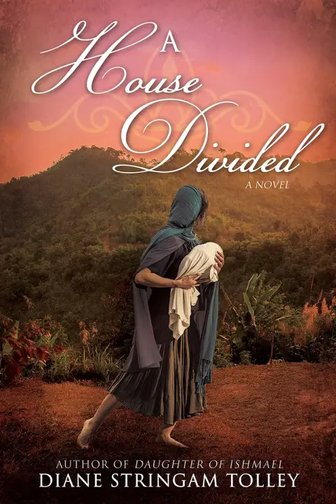 Cover of A House Divided