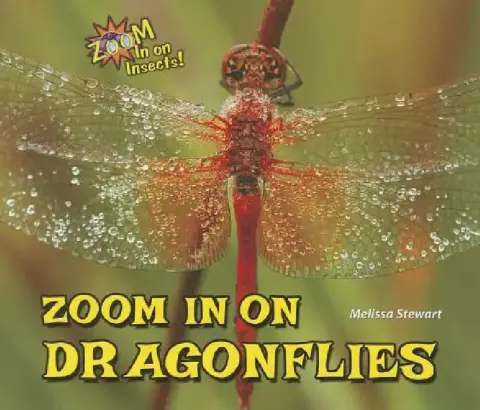 Cover of Zoom in on Dragonflies