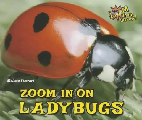 Cover of Zoom in on Ladybugs