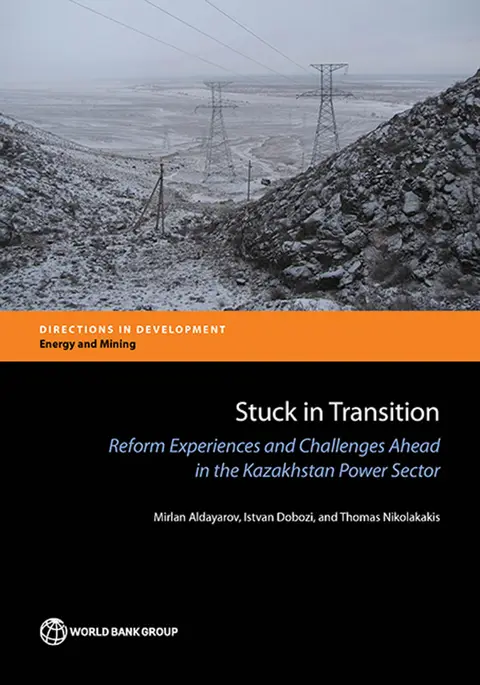 Cover of Stuck in transition