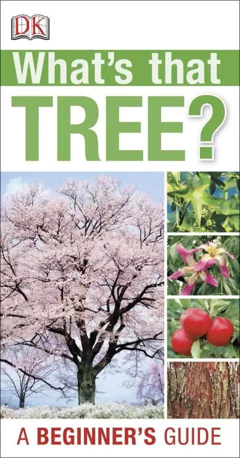 Cover of What's That Tree?