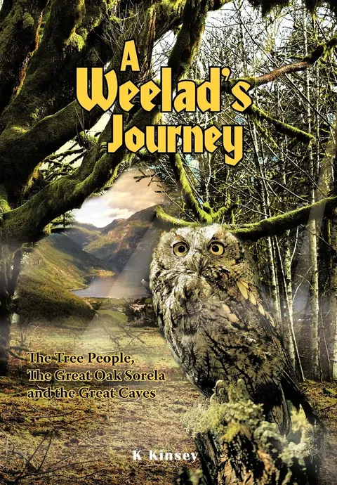 Cover of A Weelad's Journey