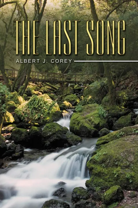 Cover of The Last Song