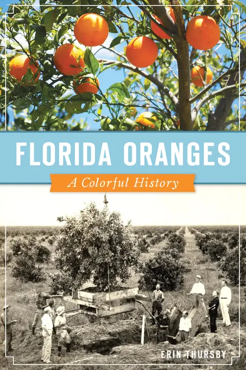 Cover of Florida Oranges