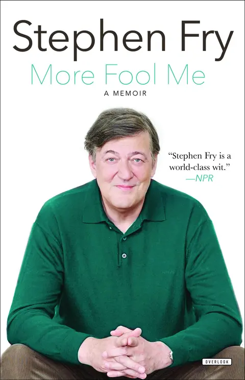 Cover of More Fool Me