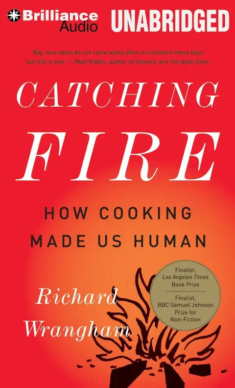 Cover of Catching Fire