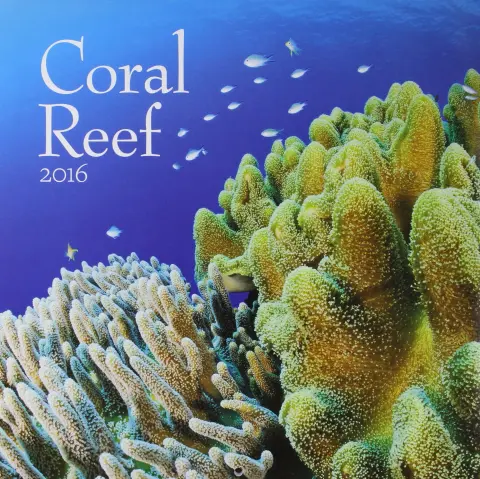 Cover of Coral Reef 2016 Calendar