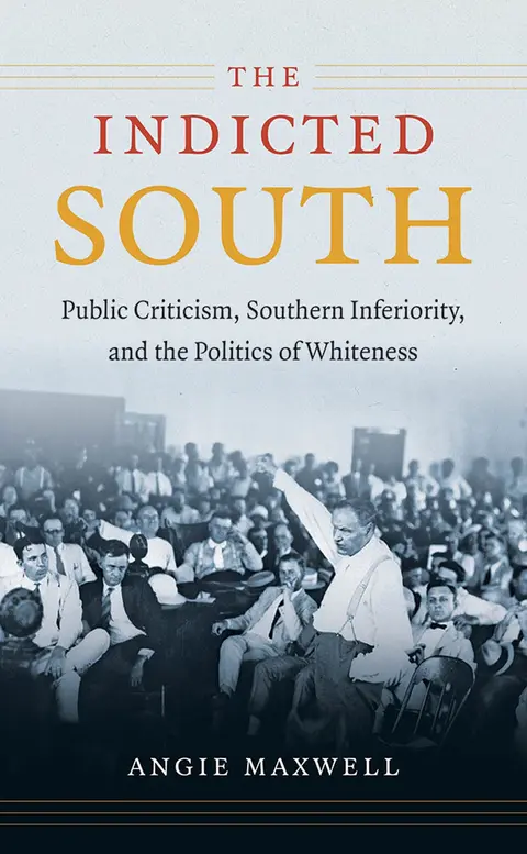 Cover of The Indicted South