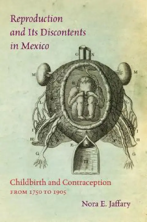 Cover of Reproduction and Its Discontents in Mexico
