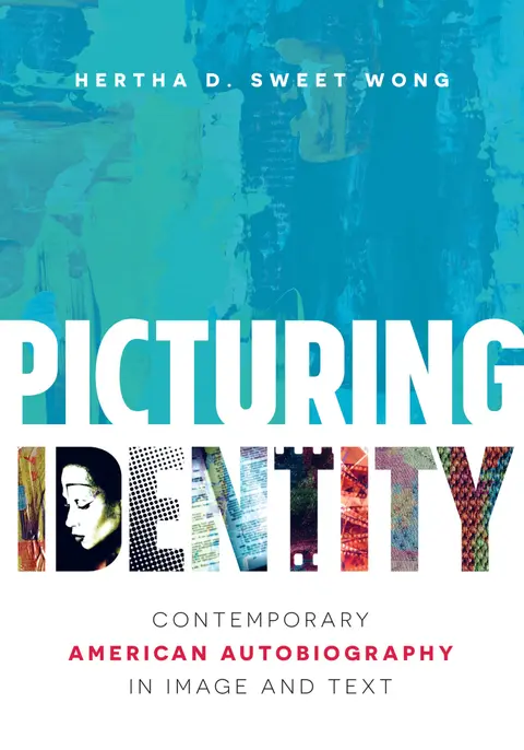 Cover of Picturing Identity