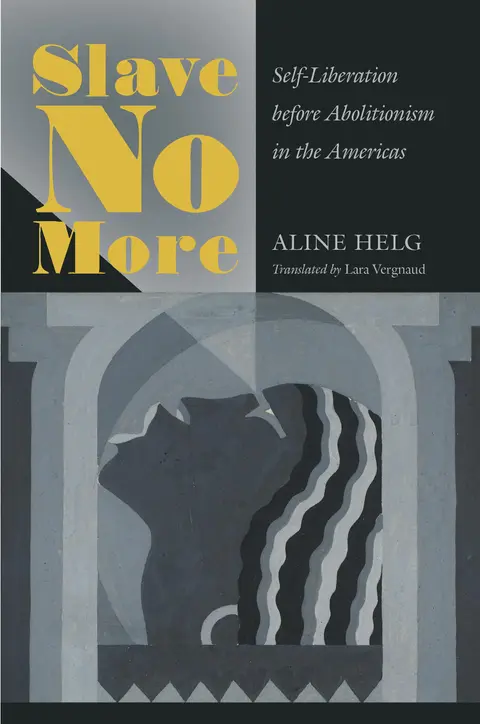 Cover of Slave No More