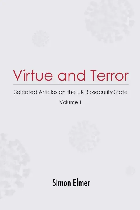 Cover of Virtue and Terror