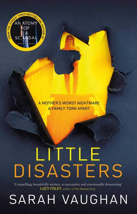 Cover of Little Disasters
