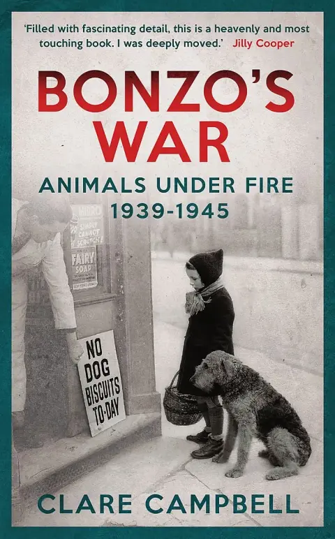 Cover of Bonzo'S War