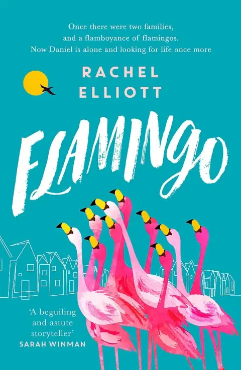Cover of Flamingo
