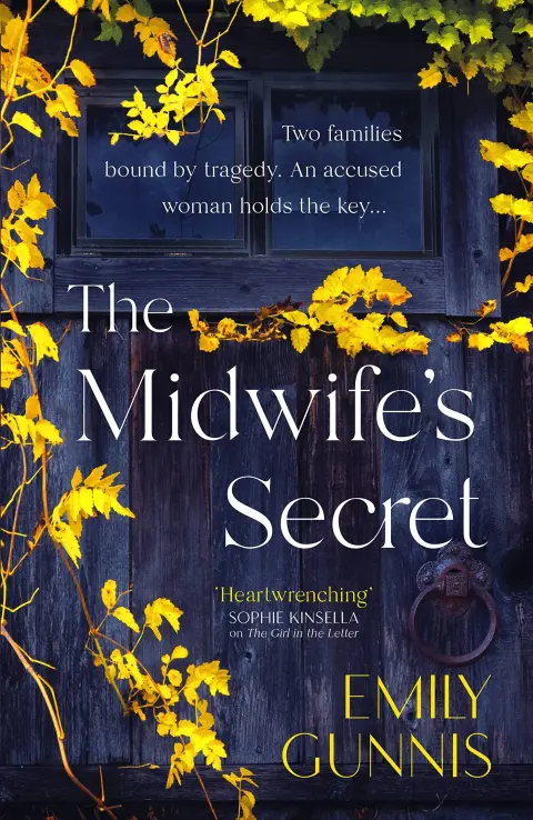 Cover of The Midwife's Secret