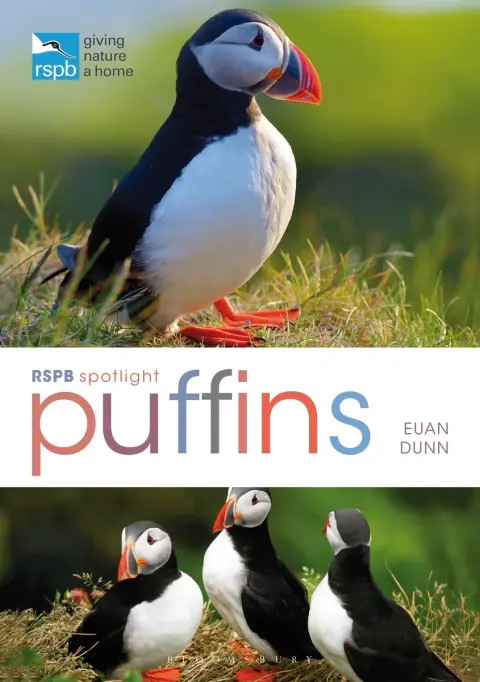Cover of RSPB Spotlight