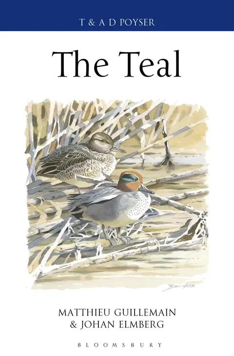 Cover of The Teal