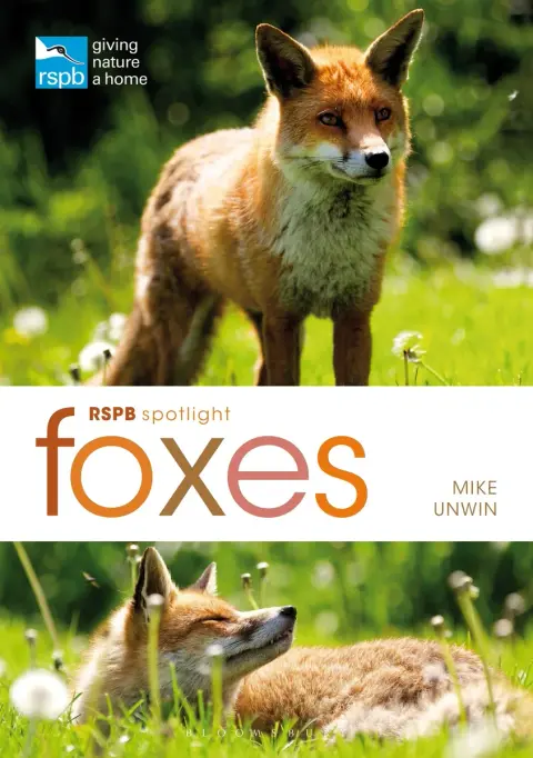 Cover of Foxes