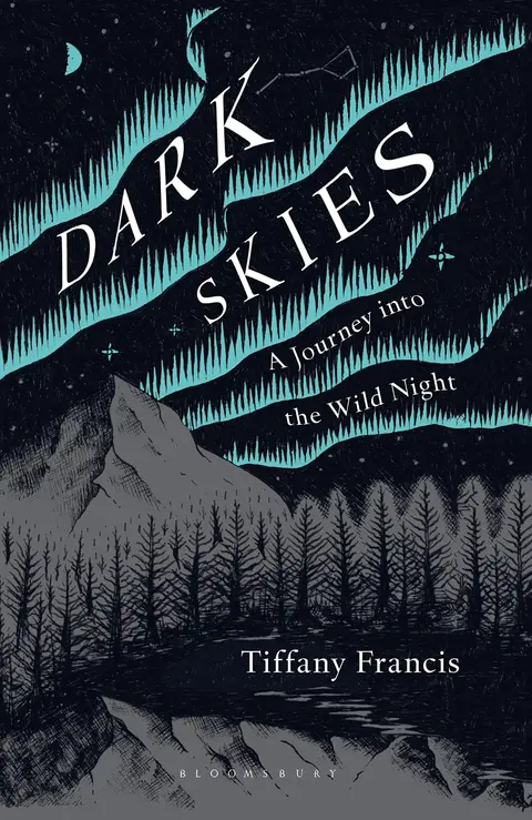 Cover of Dark Skies