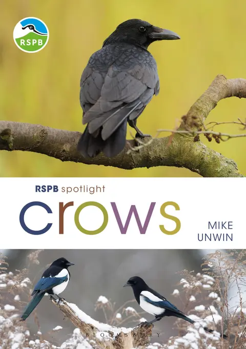 Cover of RSPB Spotlight Crows
