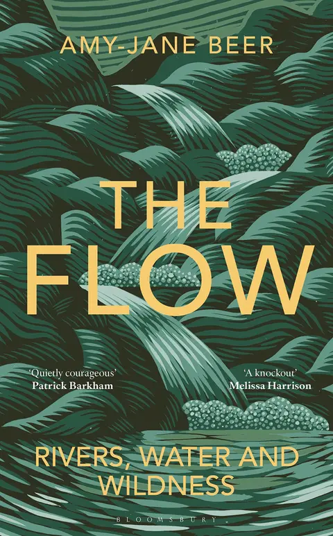 Cover of The Flow