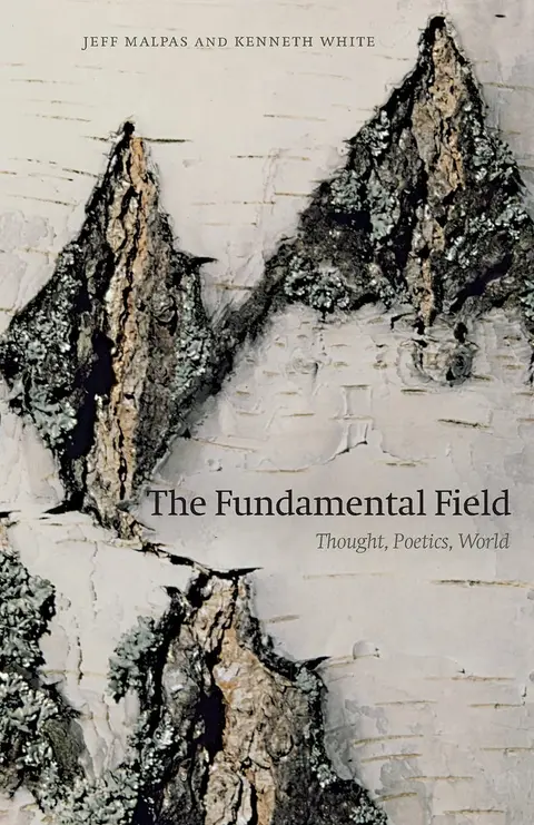 Cover of The Fundamental Field