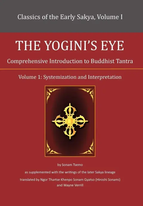 Cover of The Yogini's Eye