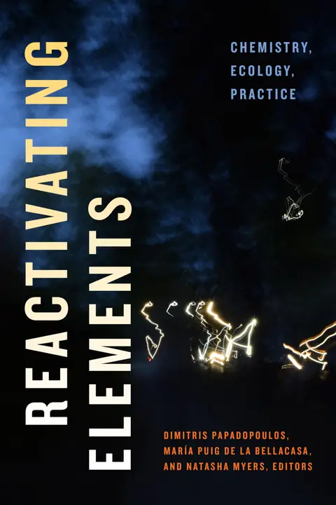 Cover of Reactivating Elements