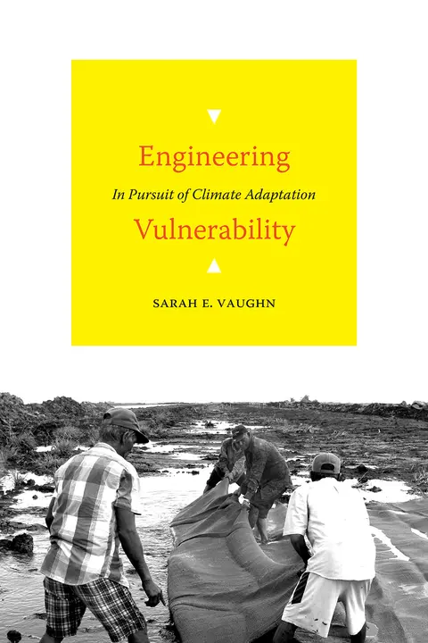 Cover of Engineering Vulnerability