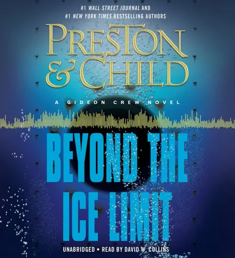 Cover of Beyond the Ice Limit