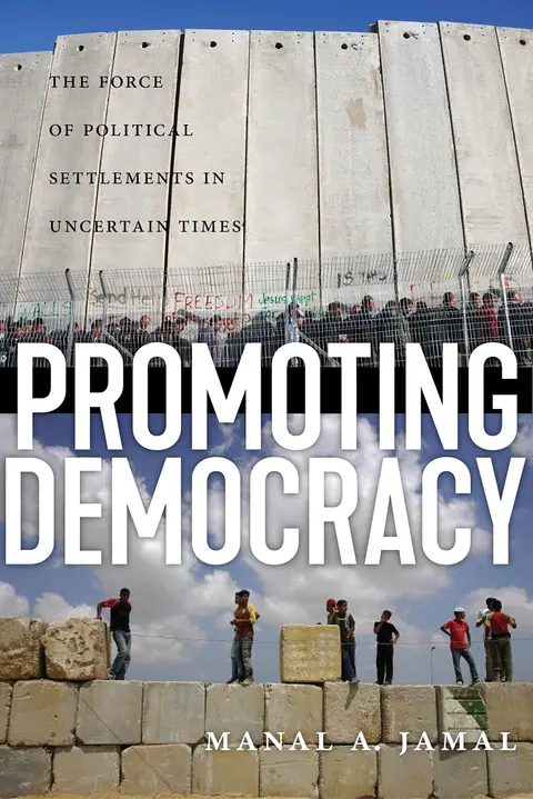 Cover of Promoting Democracy