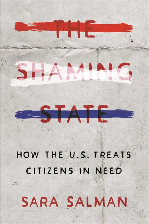 Cover of The Shaming State