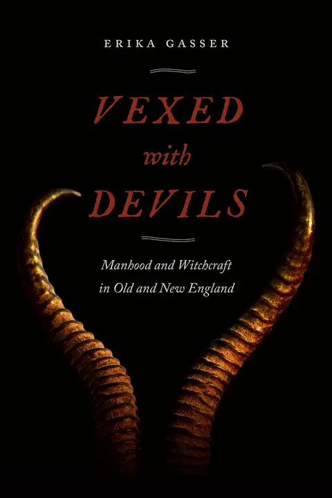 Cover of Vexed with Devils