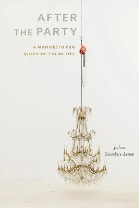 Cover of After the Party