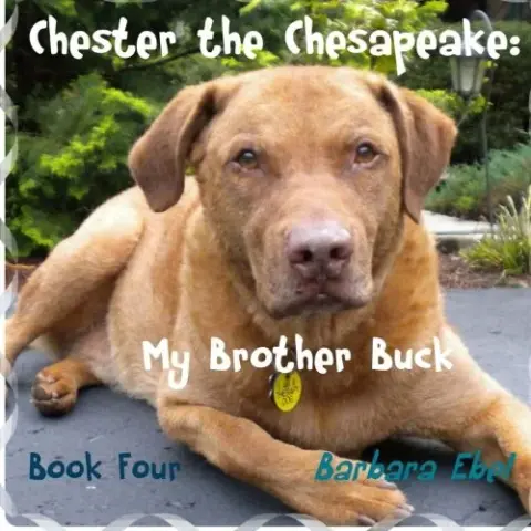 Cover of Chester the Chesapeake