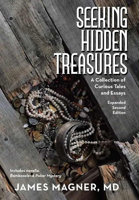 Cover of Seeking Hidden Treasures