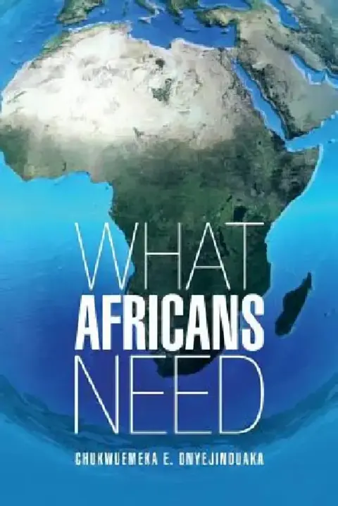 Cover of What Africans Need