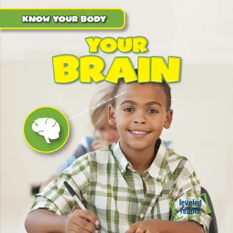 Cover of Your Brain
