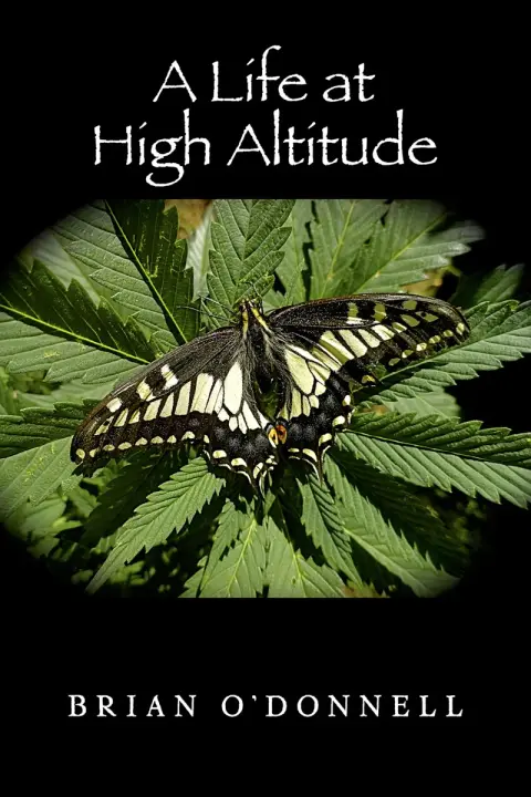 Cover of A Life at High Altitude