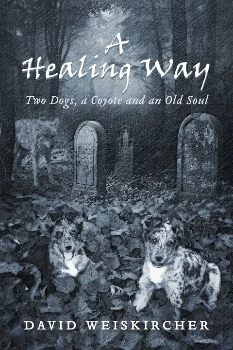 Cover of A Healing Way