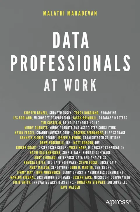 Cover of Data Professionals at Work