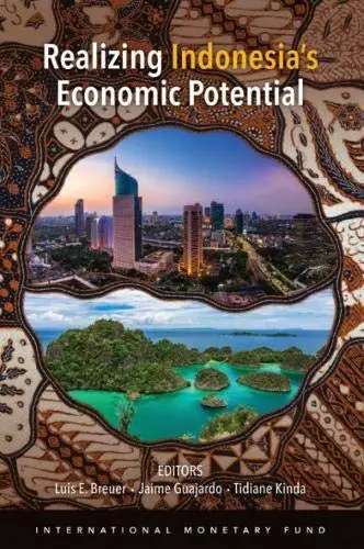 Cover of Realizing Indonesia's economic potential